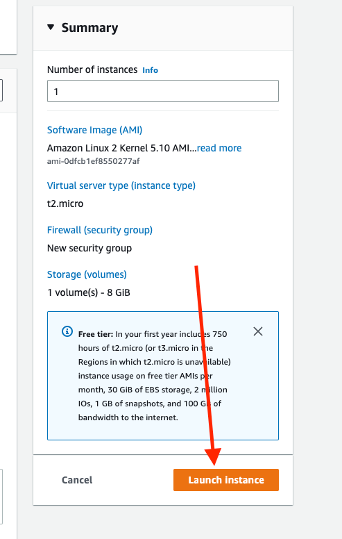 Select Amazon Linux 2 OS