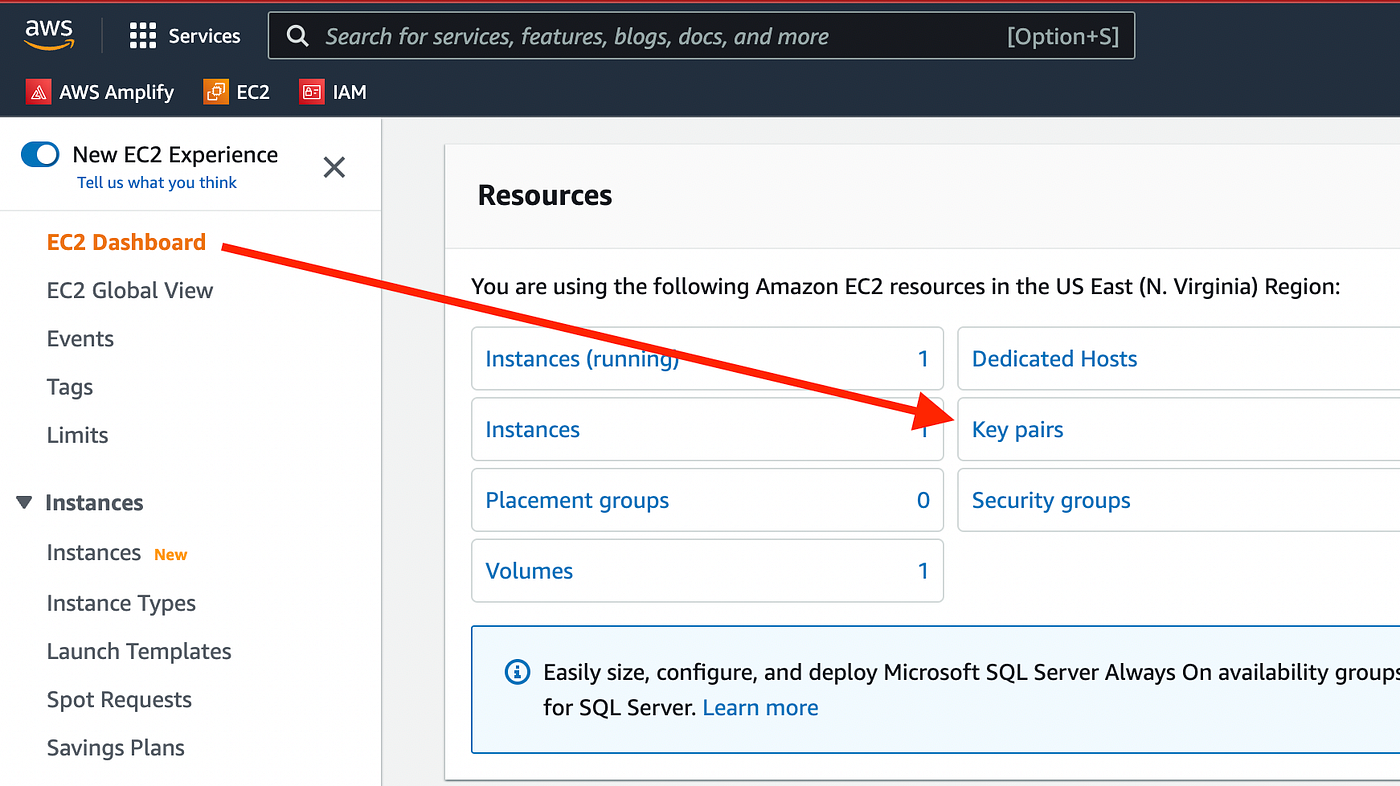 Create new key pair if needed