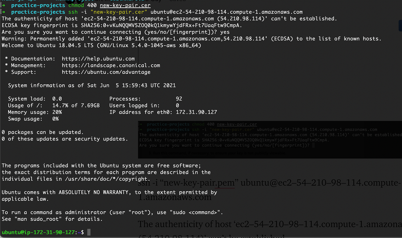 Connected - Ubuntu prompt