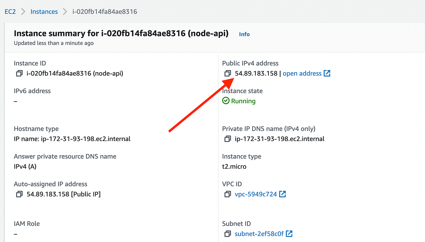 Public IP address of EC2