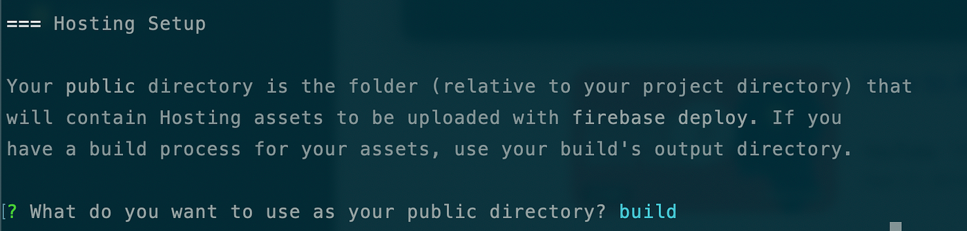 Public directory = build